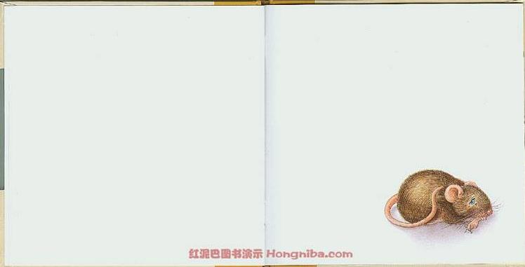 颜色 (02),绘本,绘本故事,绘本阅读,故事书,童书,图画书,课外阅读